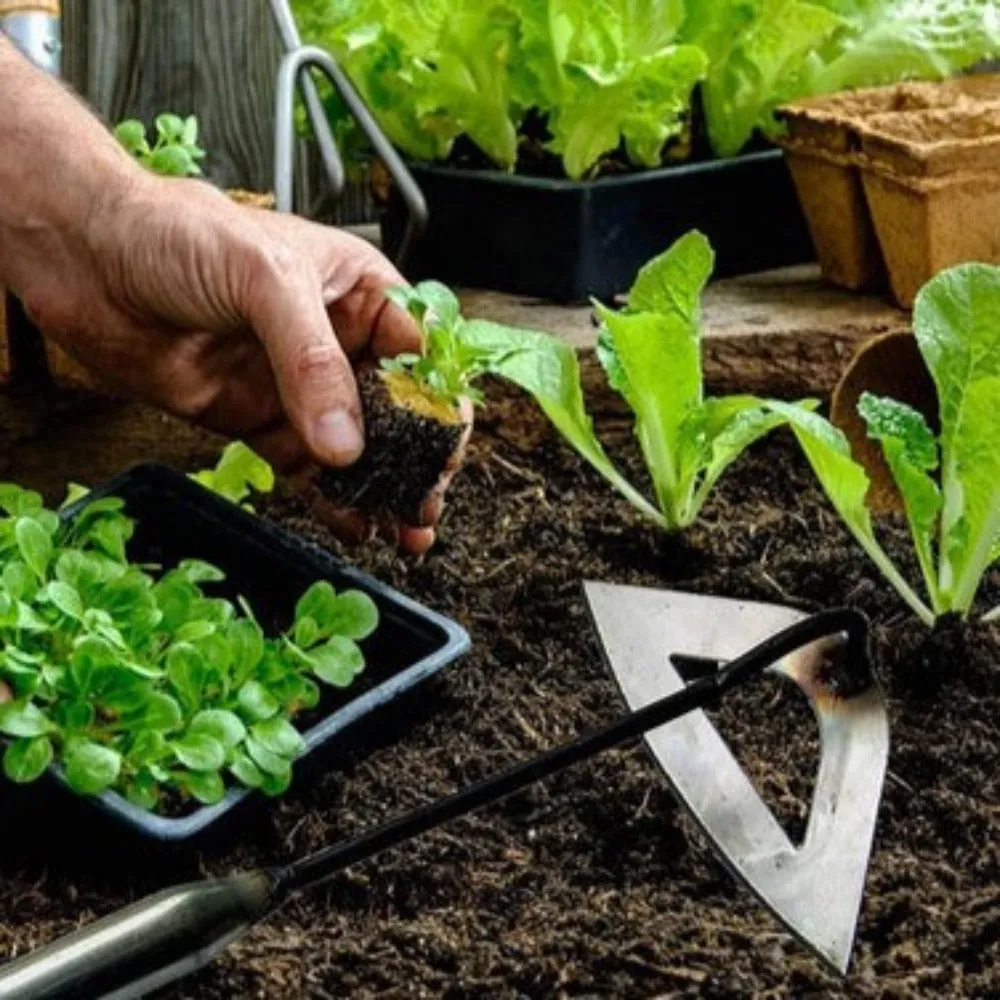 All Steel Handheld Rake Planting Tool