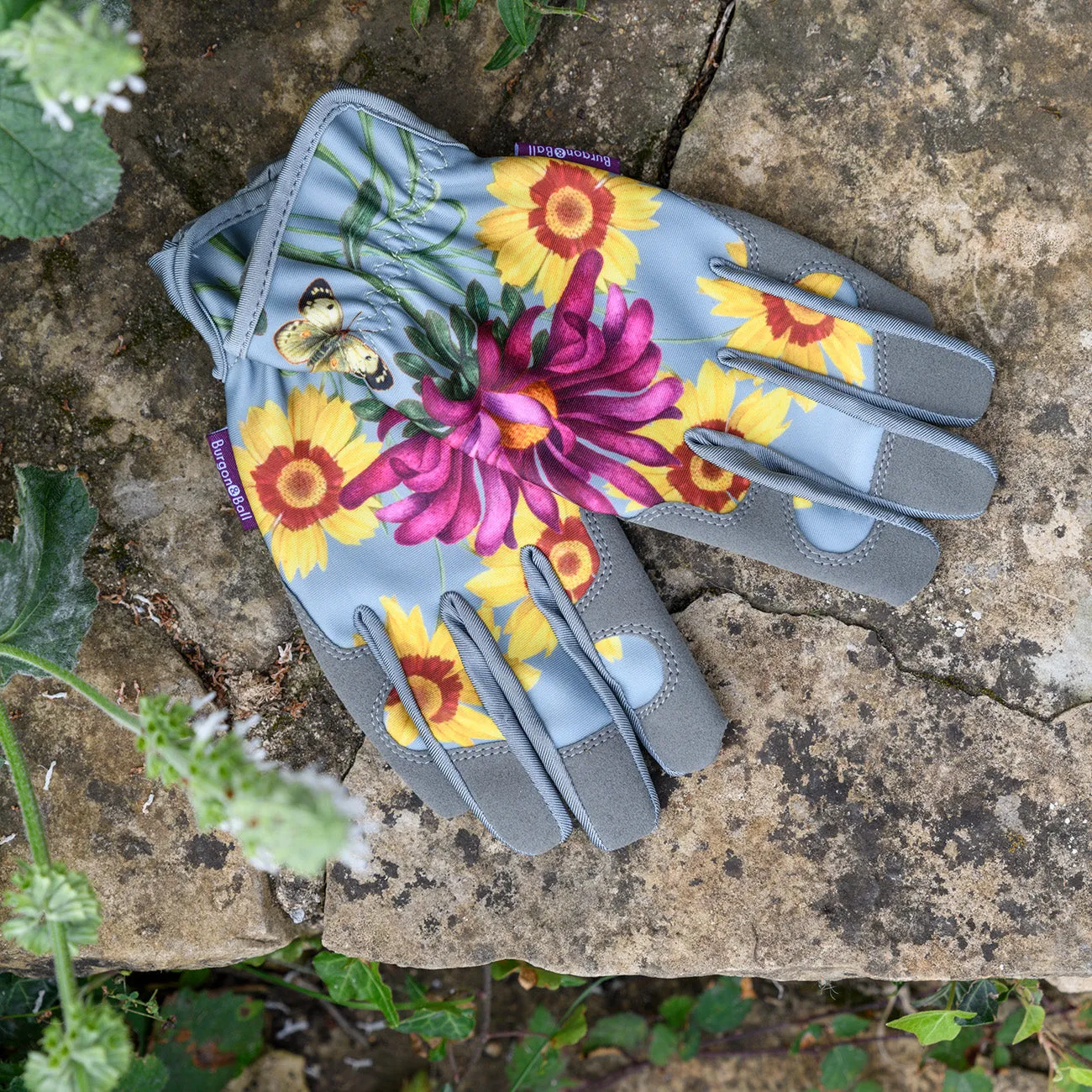 Asteraceae Gloves