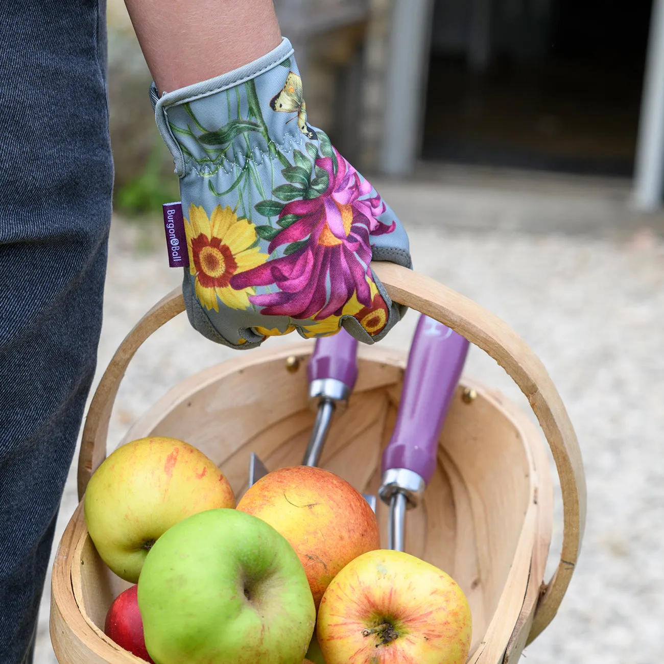 Asteraceae Gloves