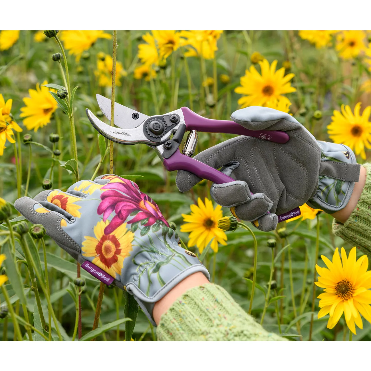 Asteraceae Gloves