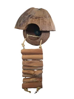 Avi One Coconut Hut with Ladder