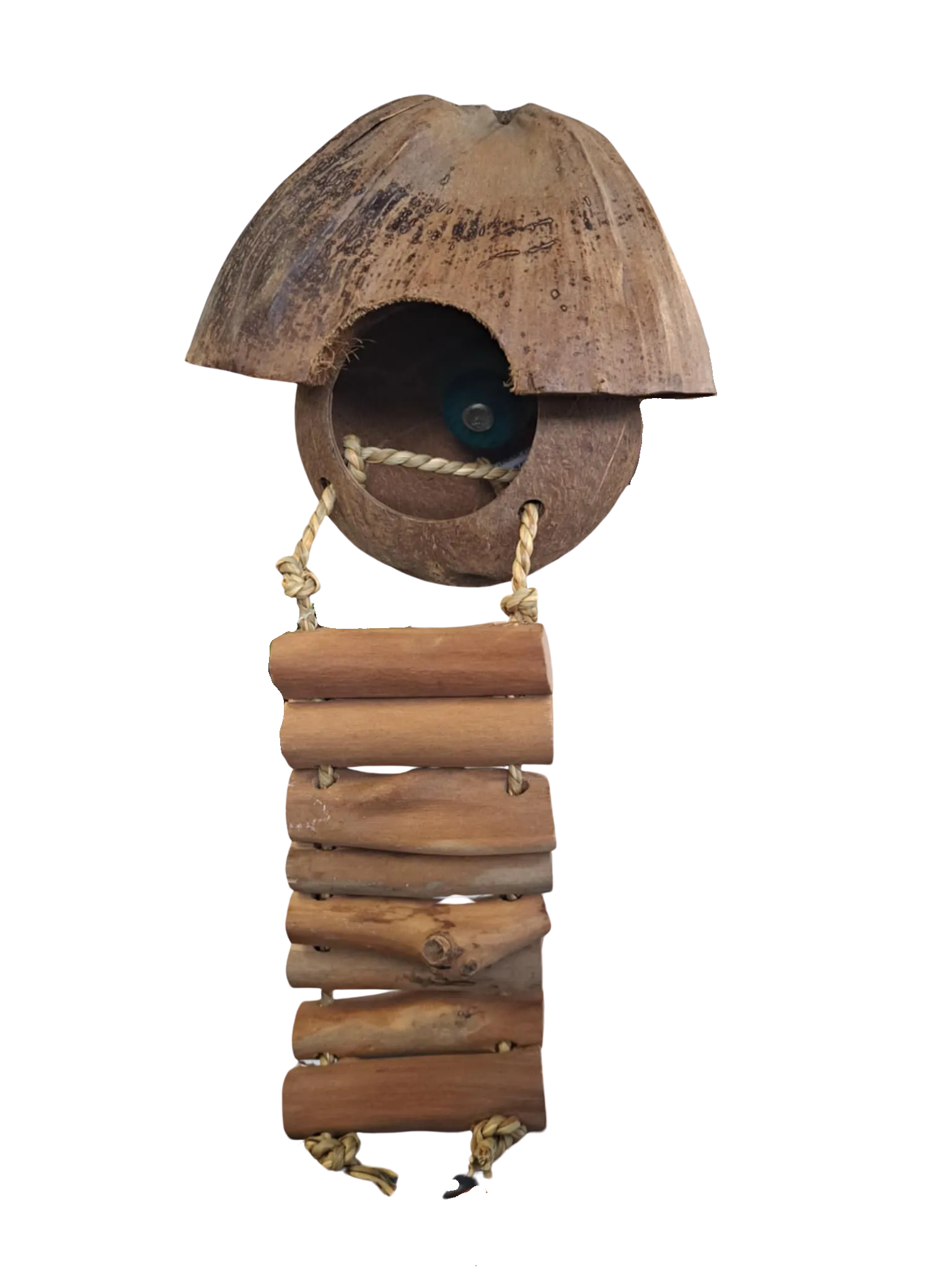 Avi One Coconut Hut with Ladder