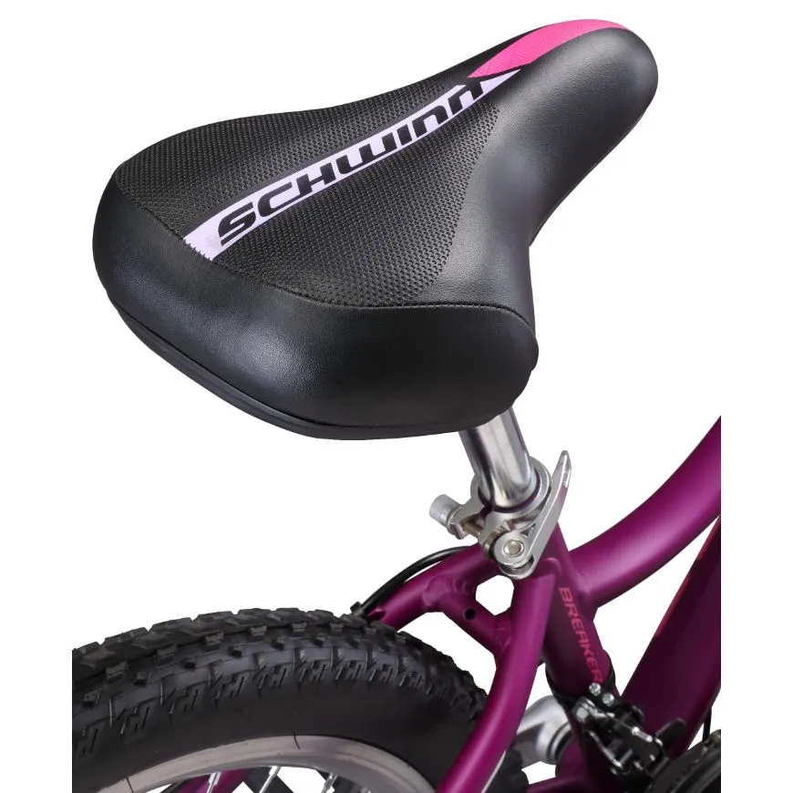 Schwinn Breaker Dual Disc 24" Girls Biking Bike Purple