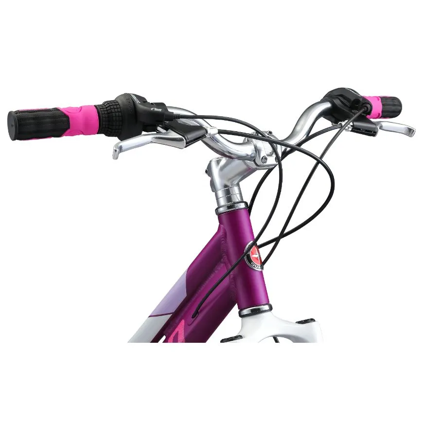 Schwinn Breaker Dual Disc 24" Girls Biking Bike Purple