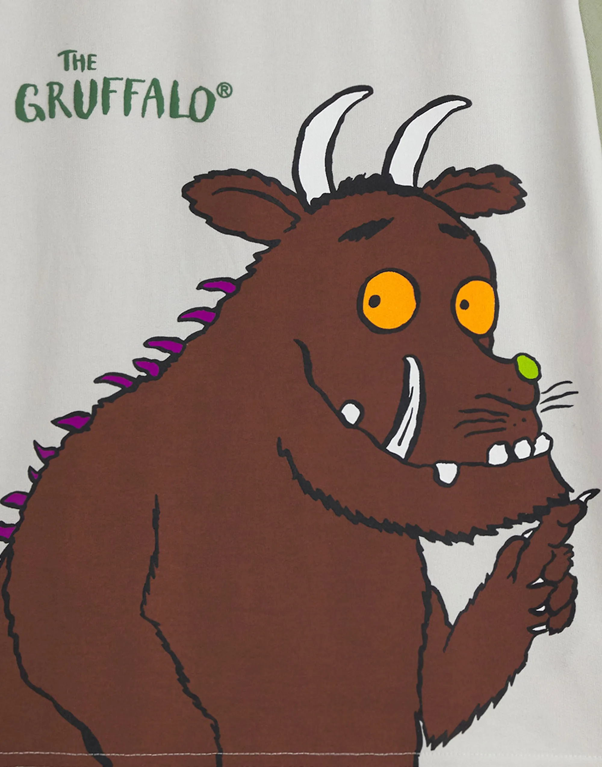 The Gruffalo Boys T-Shirt & Shorts Set