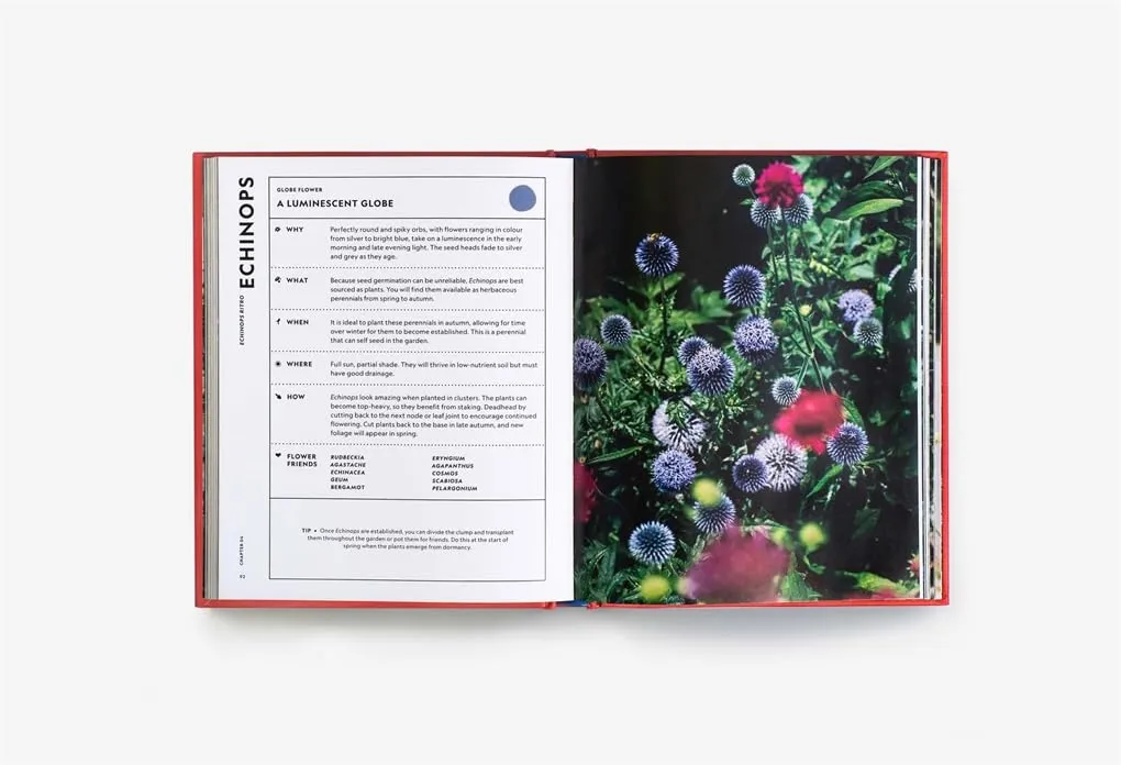 The Super Bloom Handbook